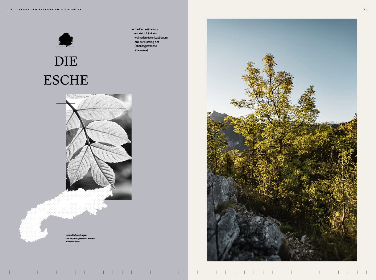 Der Alpenwald: Eine Natur- und Kulturbeschreibung aus 20 Perspektiven