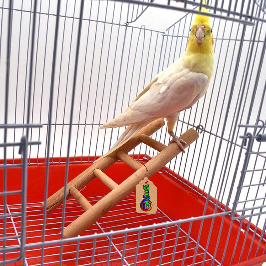 DreamAuro 38cm Natural Wood Ladder Toy for Birds, Parrot, Budgies and Other Small, Medium Large Bird 4