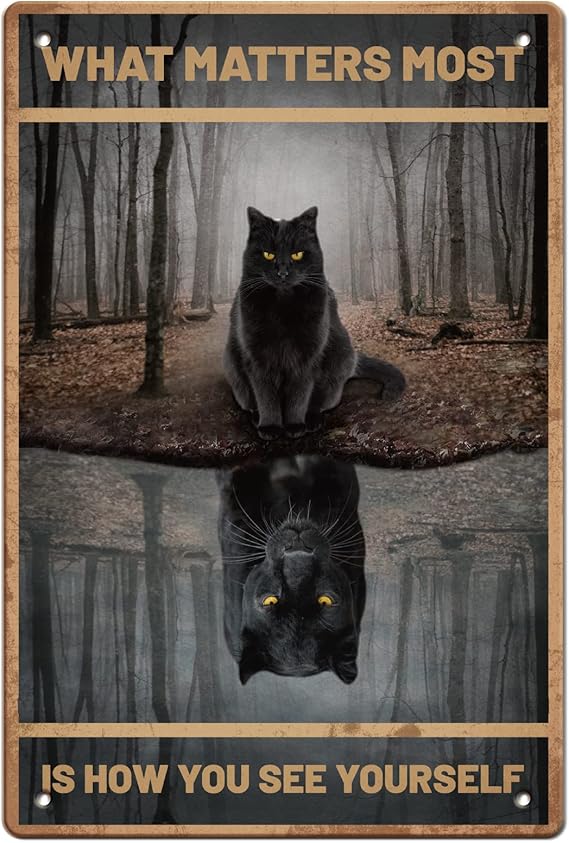 SUPERDANT Metallschild Mit Schwarzer Katze - Lustiges Badezimmer Schild Get Naked 30x20cm