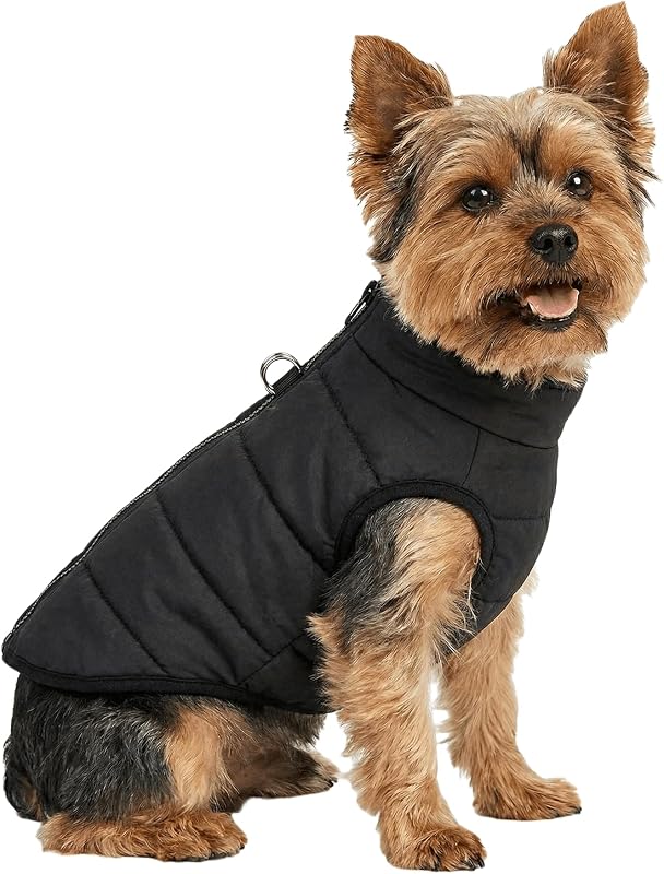 Casaco de Inverno para Cães Pequenos DroolingDog com Forro de Algodão e Camada Impermeável, Preto, X-Small