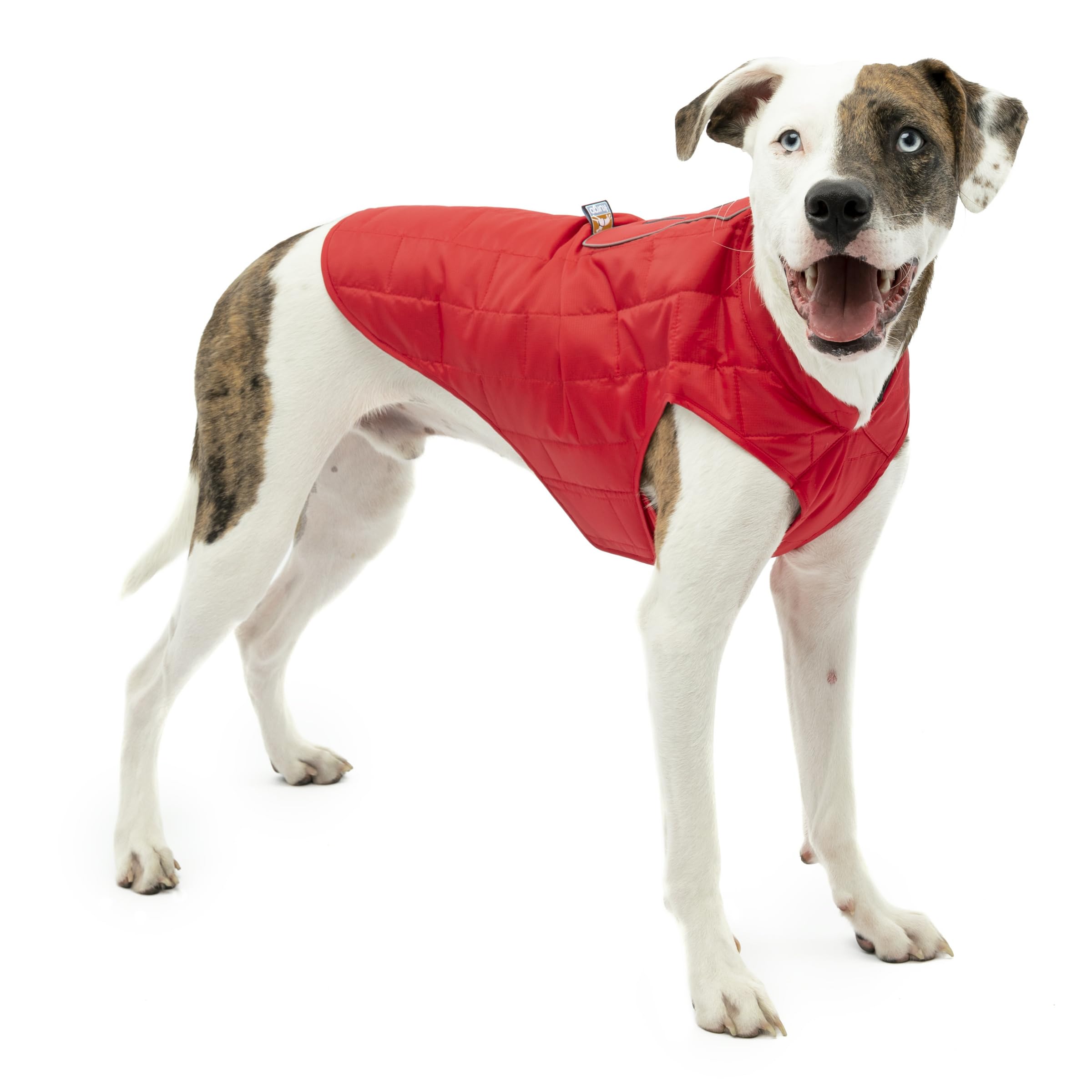 Kurgo Loft Dog Jacket - Reversible Cozy Coat for Outdoor Adventures - Water Resistant - Athletic Fit - Machine Washable Fabric - Reflective Dog Gear -