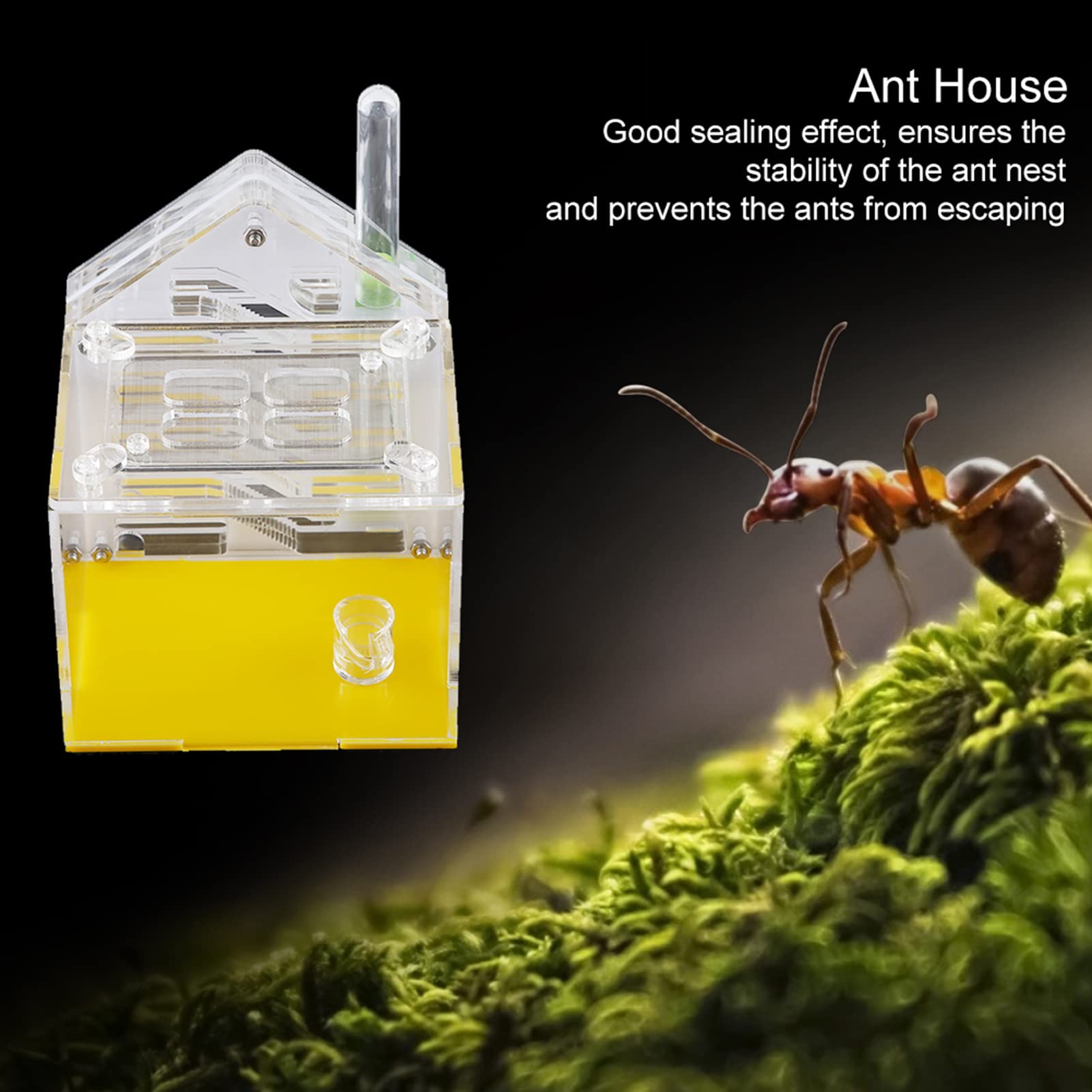 Rimsunta Ant Farm Para Hormigas Vivas - Para Hormigas Pequeñas - Juguete De Aprendizaje Natural - Gran Regalo, Blanco
