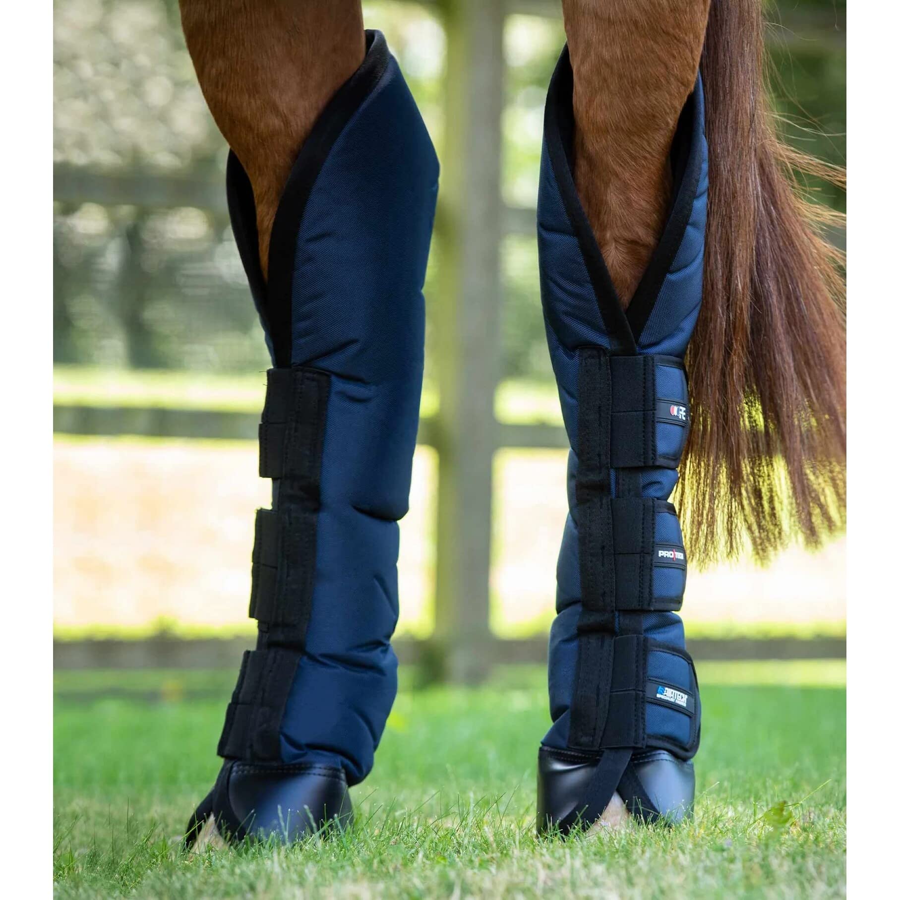 Premier Equine Botas de Transporte para Caballos Ballistic Pro-Tech