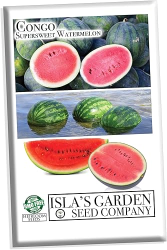 Semillas de sandía superdulces de Congo para plantar, más de 25 semillas tradicionales por paquete, semillas de jardín de Isla (semillas de jardín