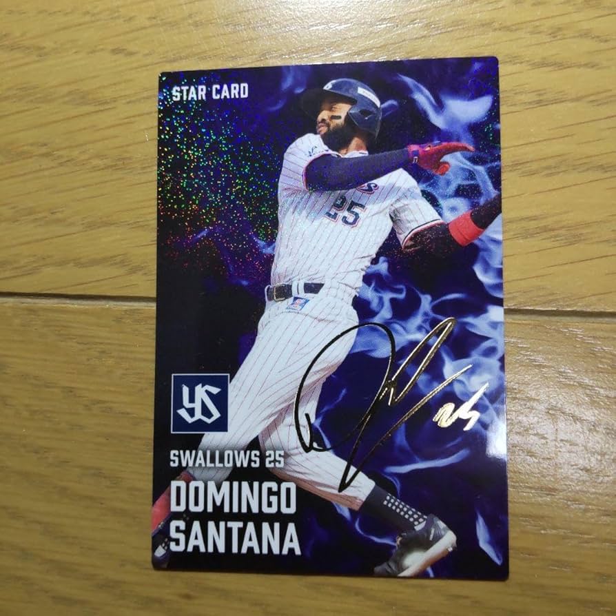 入手不可激レア☆プロ野球カード 2000年くらいの プロ野球チップスカード 王貞治 2000 Calbee 激レア 野球カード