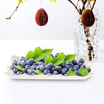 4pcs White Paper Serving Trays and Platters Set with Elegant Lace Design, Stylish Square Dessert for Party Buffet and Food Serving, Reduces Cleanup Time
