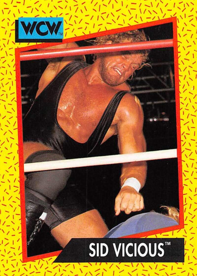 Amazon.com: 1991 Impel WCW Wrestling #32 Sid Vicious Official World  Championship Wrestling Trading Card : Collectibles & Fine Art