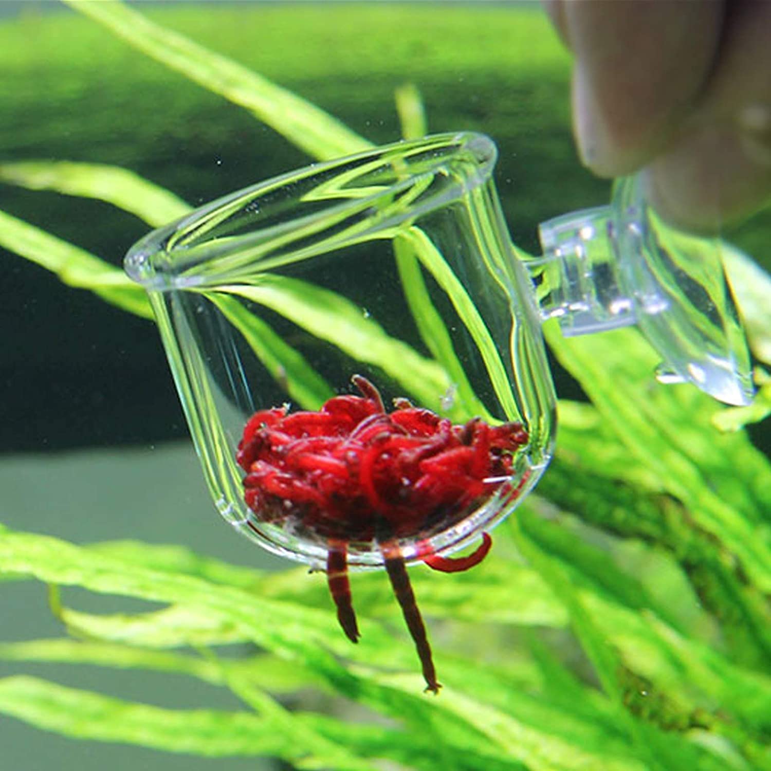 CENPEK 2Pcs Aquarium Glass Feeding Cone Cup Plant Cup Brine Shrimp Live Red Worm Fish Feeder for Aquariums with Suction Cup