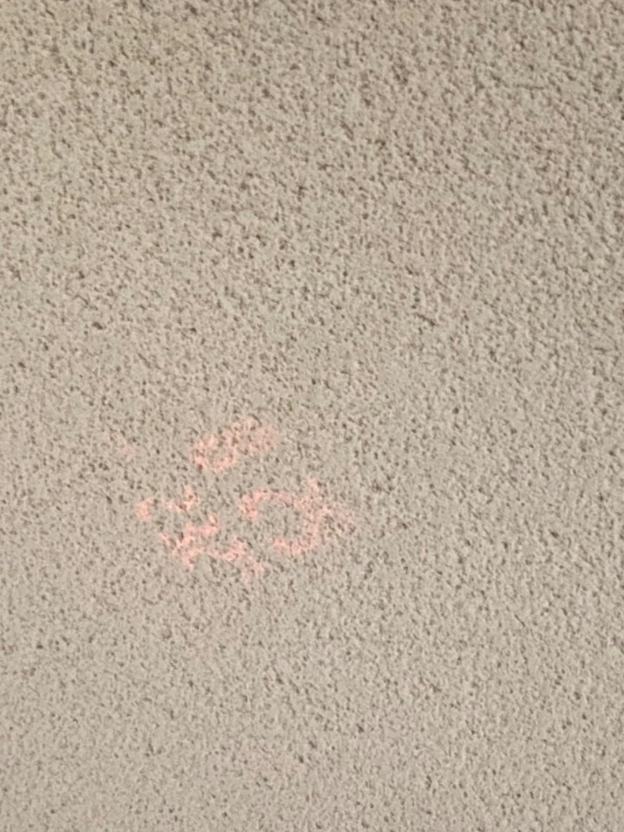 Newentor Weather Station with Atomic Projection Alarm Clock for Bedroom