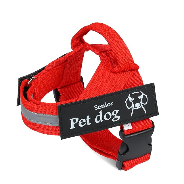 Albertband Arnés para Perros Personalizado, Chaleco Reflectante sin Tirones para Perros