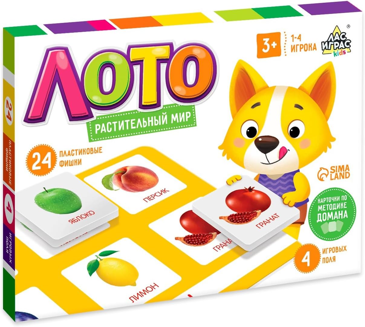 AEVVV Educational Lotto Game Растительный мир Doman Method for Children 3+ | Memory, Logic, Fine Motor Skills | 24 Plastic Pieces | Matching Game for Kids 1-4 Players