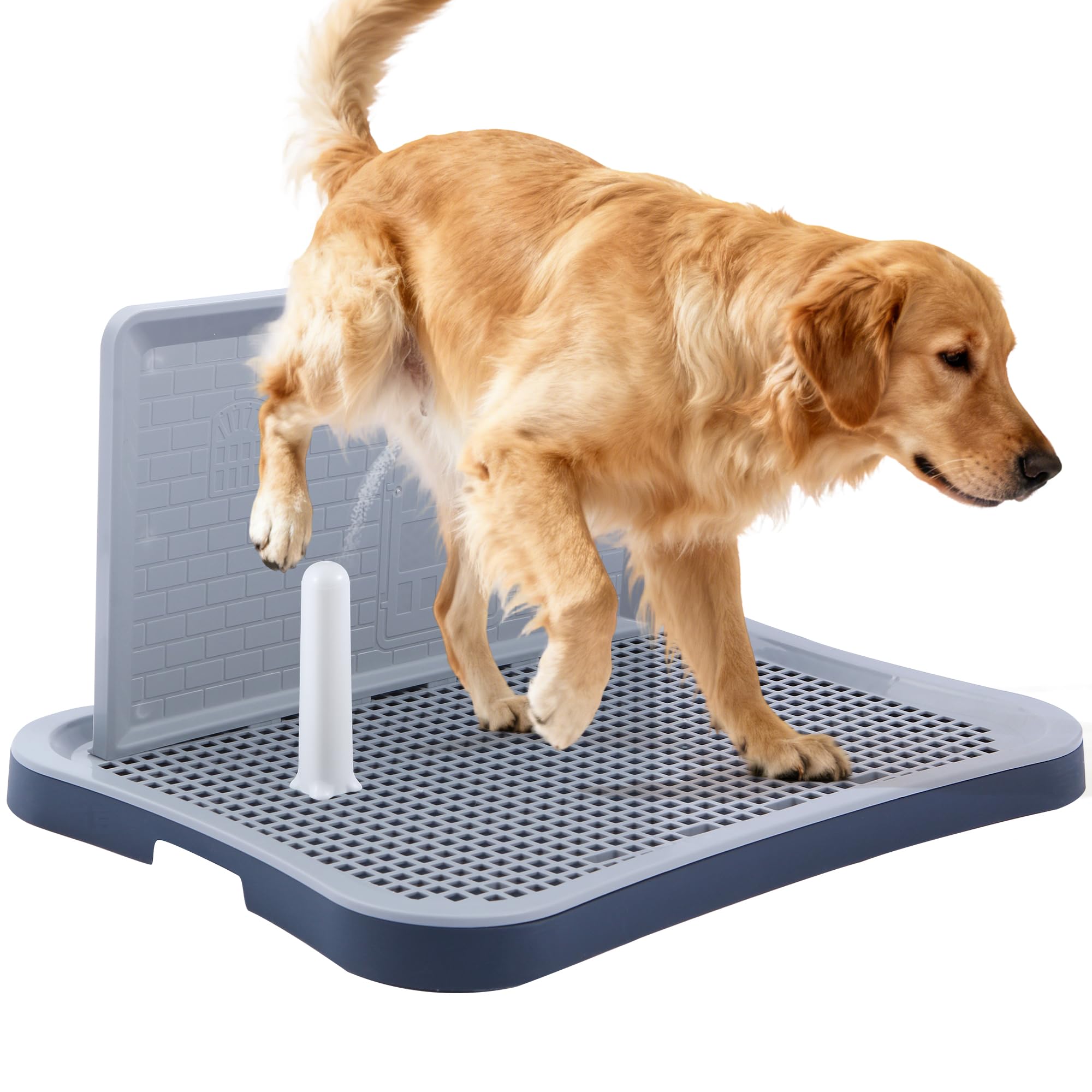 Pee Pad Holder, Indoor Potty Tray for Big and Large Size Dog with Pee Wall, Non-Skid Feet, 23.6x19.7x2 inch (Large)