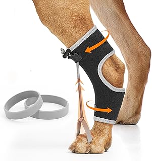 Knuckling Brace For Dogs Picks collage image 3