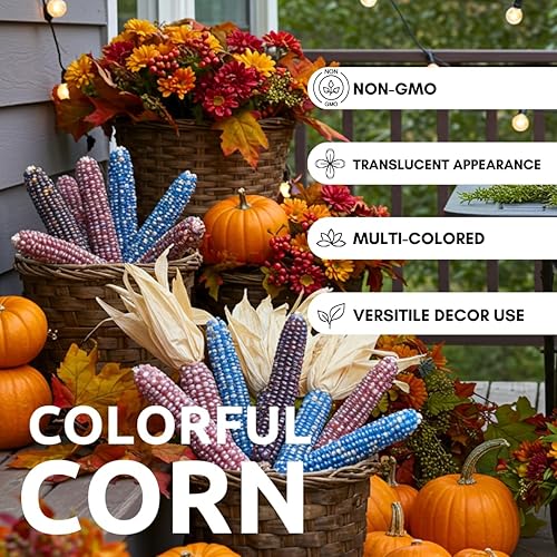 Miniatura 5 de Semillas de maíz con gemas de cristal, 100 semillas, hermosas semillas de maíz de reliquia de colores arcoíris para cultivar, semillas vegetales muy