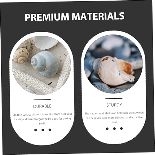 Miniatura 4 de PRETYZOOM 3sets Escargot Conchas Gruesas Hornear Caracol Conchas Estilo Francés Suministros Hogar Seguro Escargot Material de Cocina 5 unids*3