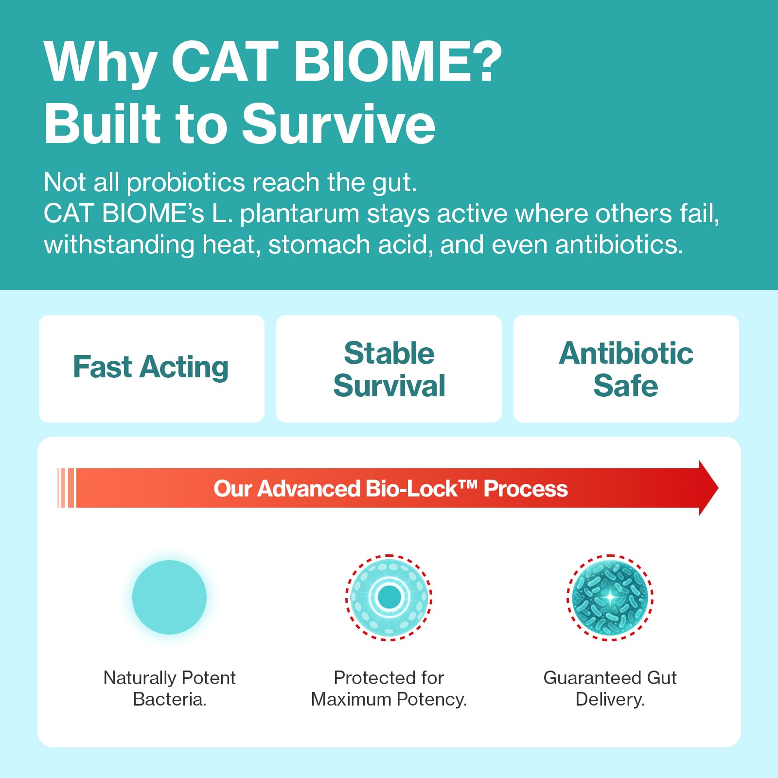 Cat Biome Probiotics for cats Anti Diarrhea Feline Gut & Digestive Support Immune Health Sensitive Stomach Constipation with L. plantarum+Prebiotics 30 Lickable Formula Individually Packaged — Amazon image 6