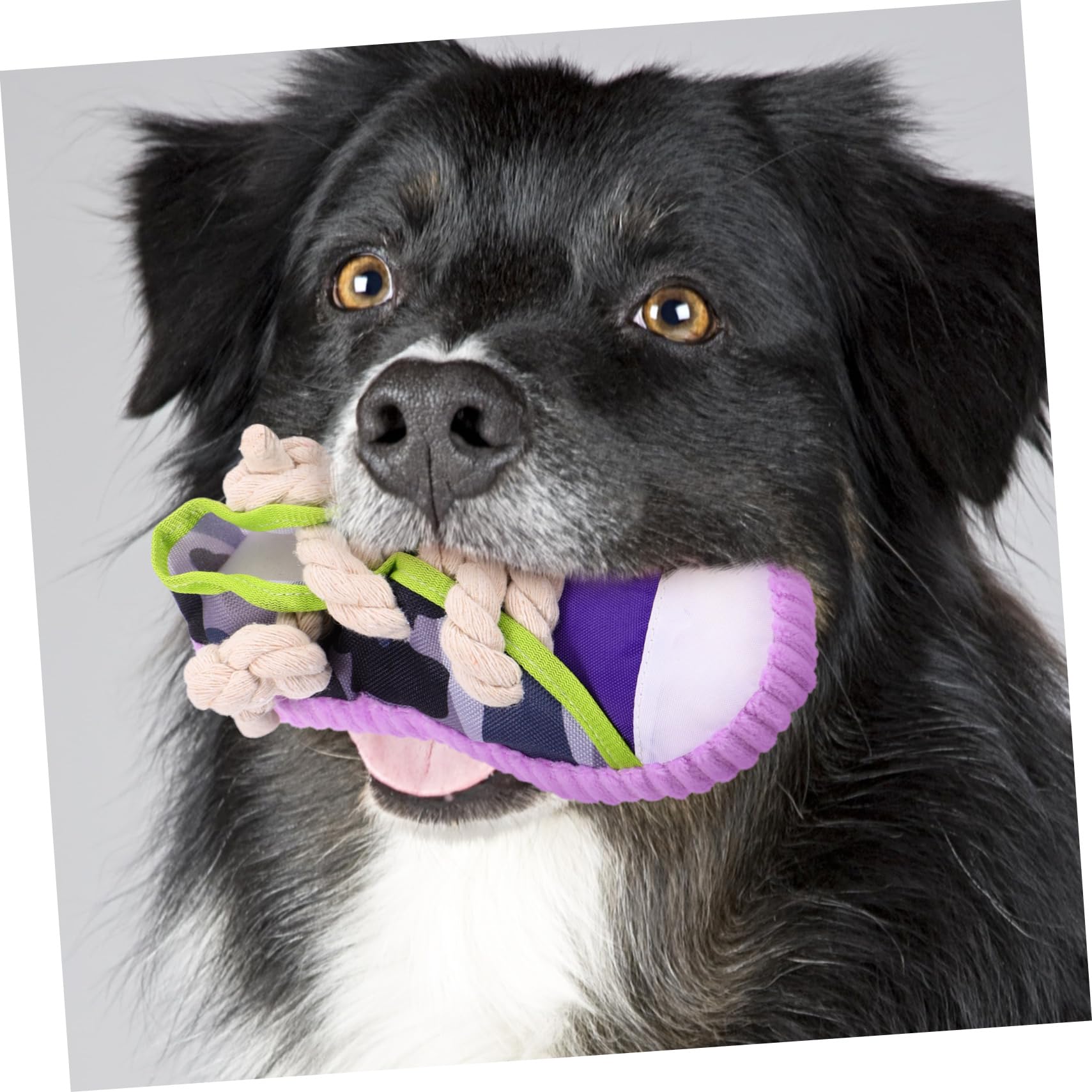 Luxshiny Jouet à Mâcher pour Chiens Petits De Chaussure, Jouet Sonore en Plastique Solide, Couleur Violet, pour Dents De Chiots Et Animaux De Compagnie