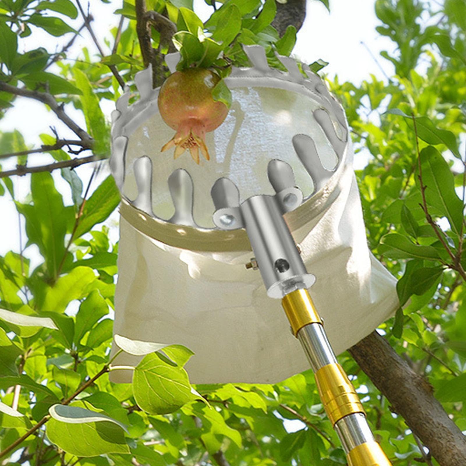 Obstpflückerkorb – Obstpflückerkopf, Obstpflücker-Werkzeuge, Edelstahl, Orangenpflücker-Werkzeug, Korb, tragbar, einfach zu bedienen, Getting, Obstfänger, Kirsche, Beere, Orange,