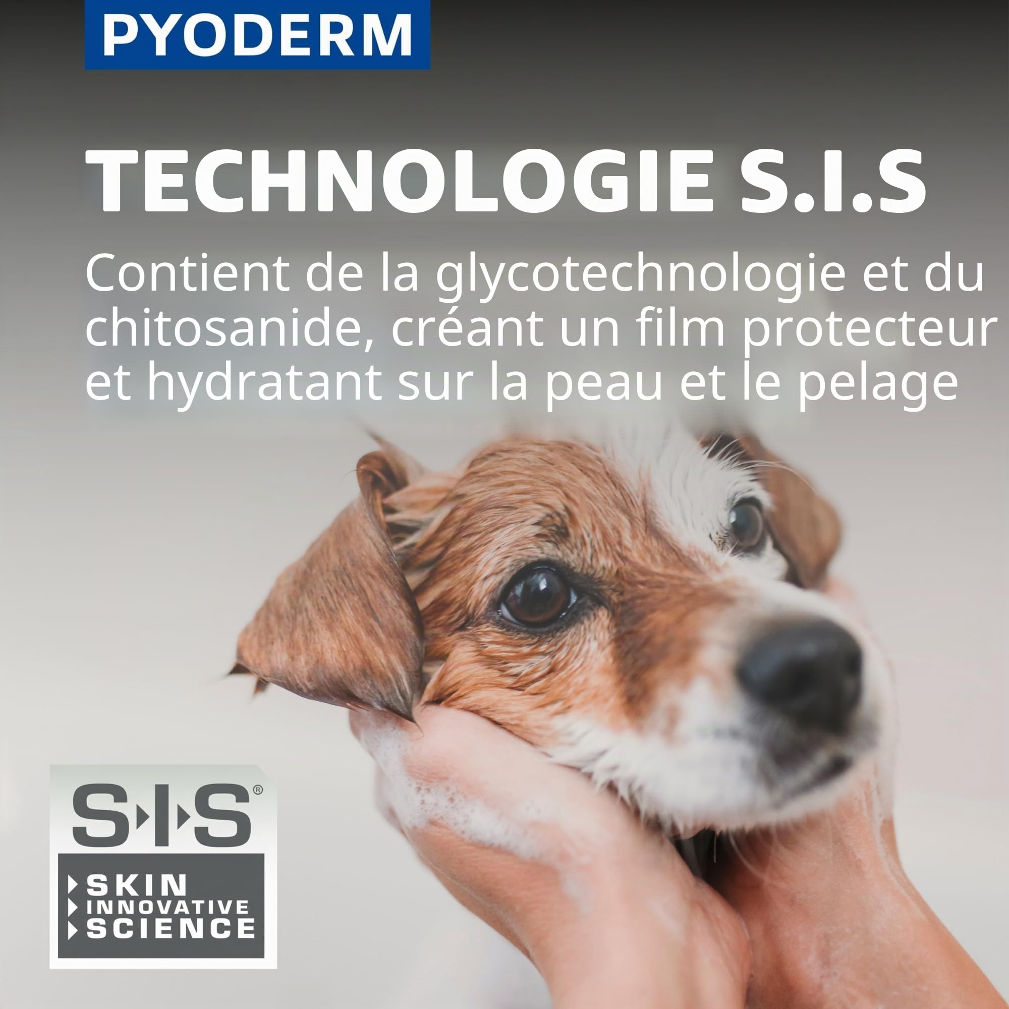 SHAMPOING PYODERM GLYCOTEC Chien & Chat 250 ML