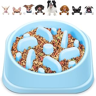 YOGINGO Slow Feeder Dog Bowl to Slow Down Eating Pet Puppy Cat and Dog Bowls - BPA-Free Anti Gulp Dog Bowl Non-Slip Healthy Eating Bowl Fit Small Medium Dogs and Cats (Blue)