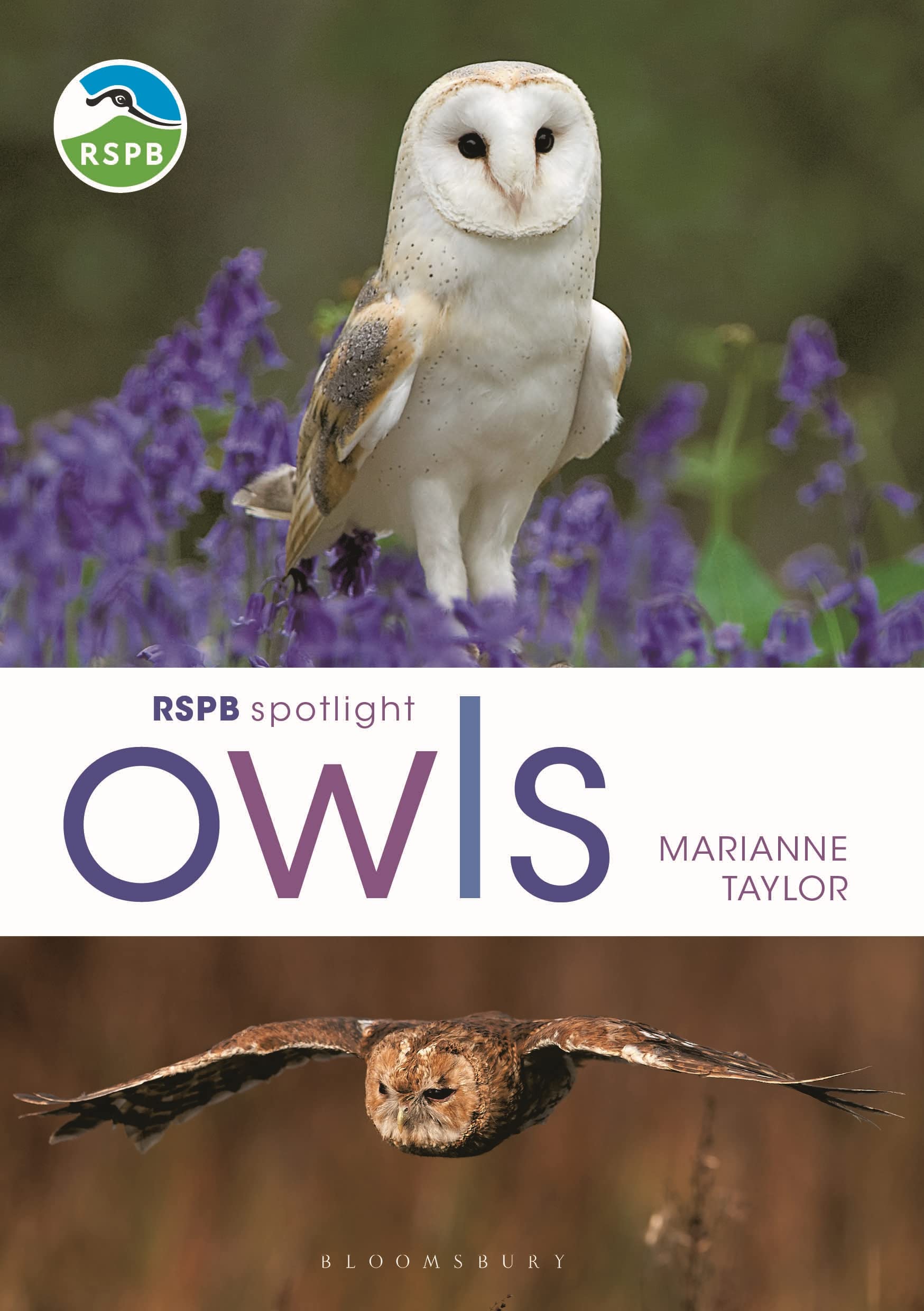 RSPB Spotlight Owls by Marianne Taylor - 9781472980281