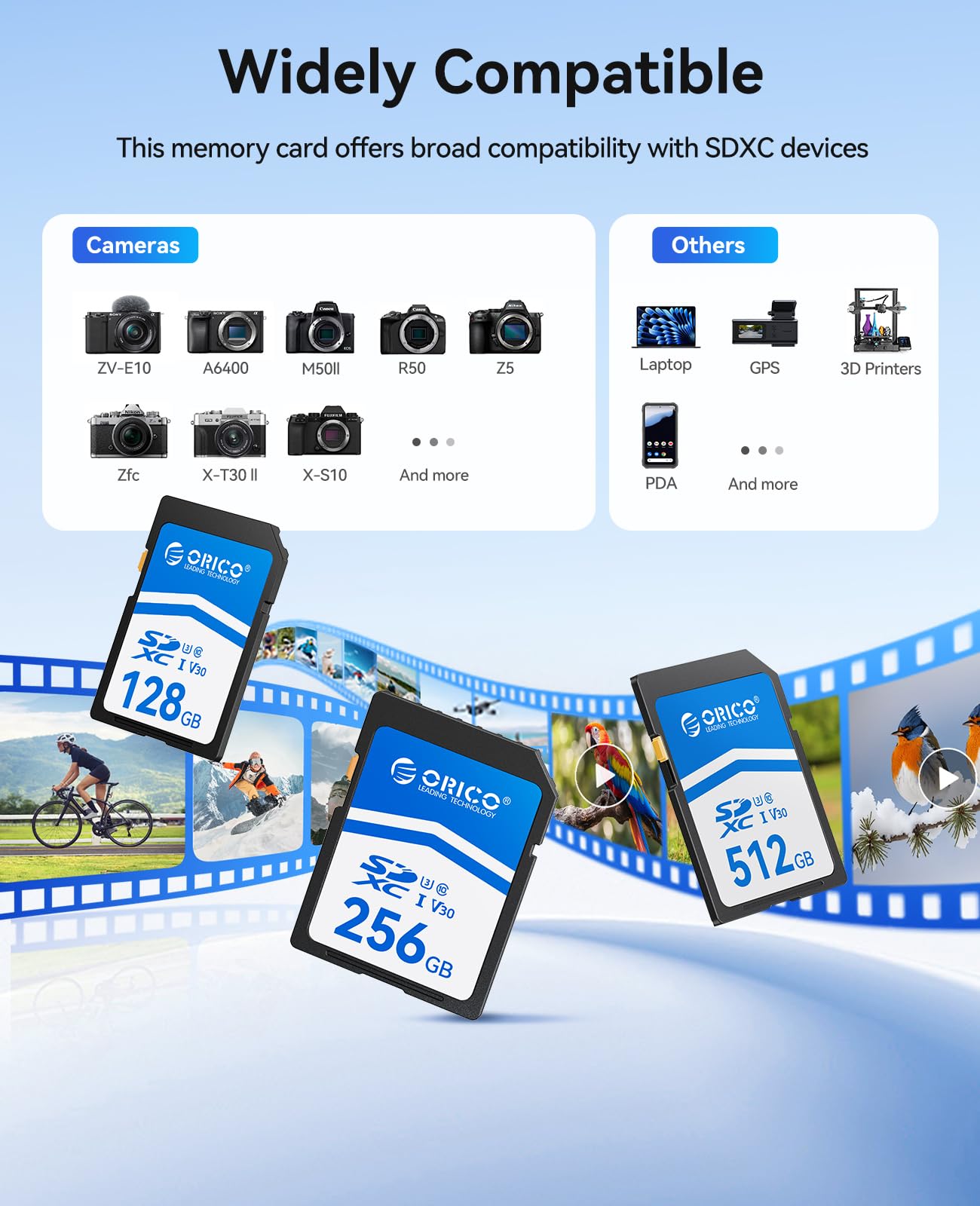 ORICO Scheda SD da 128 GB, UHS-I, C10, U3, V30, Full HD, 4K, Velocità di Lettura fino a 100 MB/s, Scheda di Memoria SDXC per Fotocamere DSLR e Mirrorless Canon, Nikon, Sony, Fujifilm – SD30