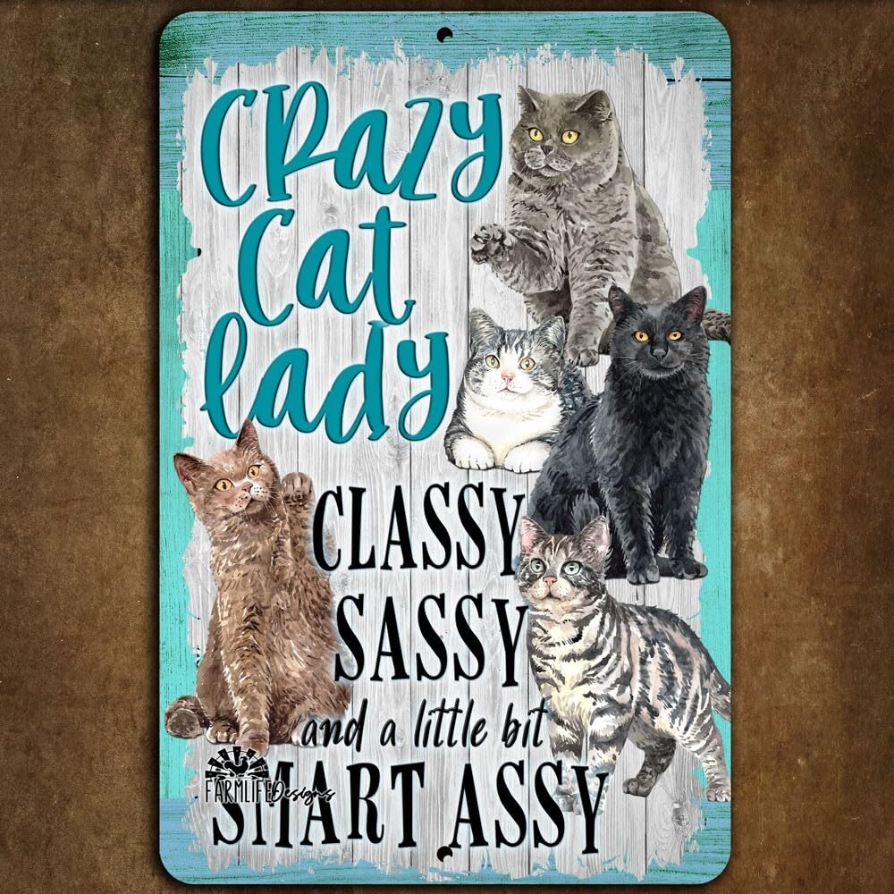 Crazy cat lady sign, classy, sassy, smart assy, cats lover decor, handmade home decor