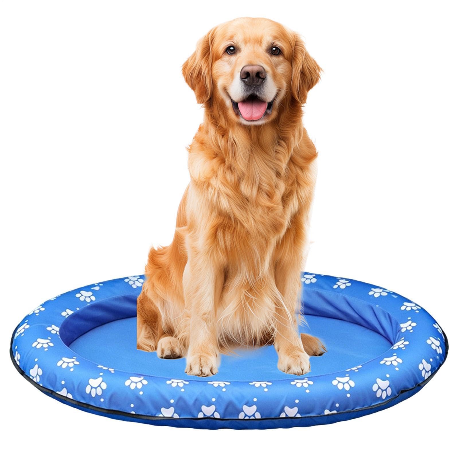 Flotteur piscine pour chiens avec trou de drainage pour étang et lac