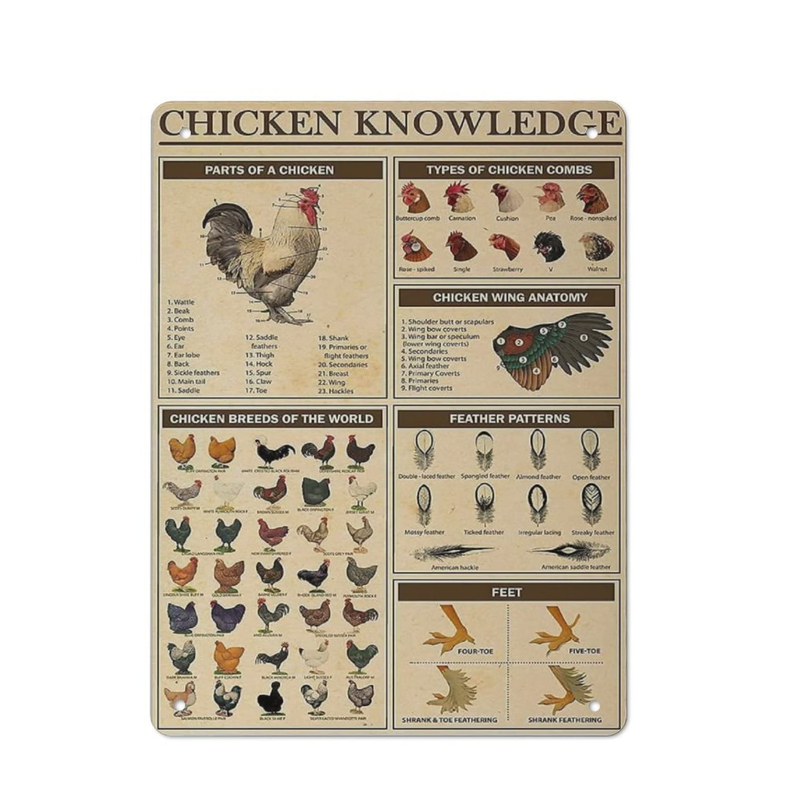 AOOEDM Chicken Knowledge Tin Metal Sign Wall Decor Funny Inspirational Quote Wall Art Sign Vintage Tin Signs For Home Coffee Bar Man Cave Sign Pub Poster