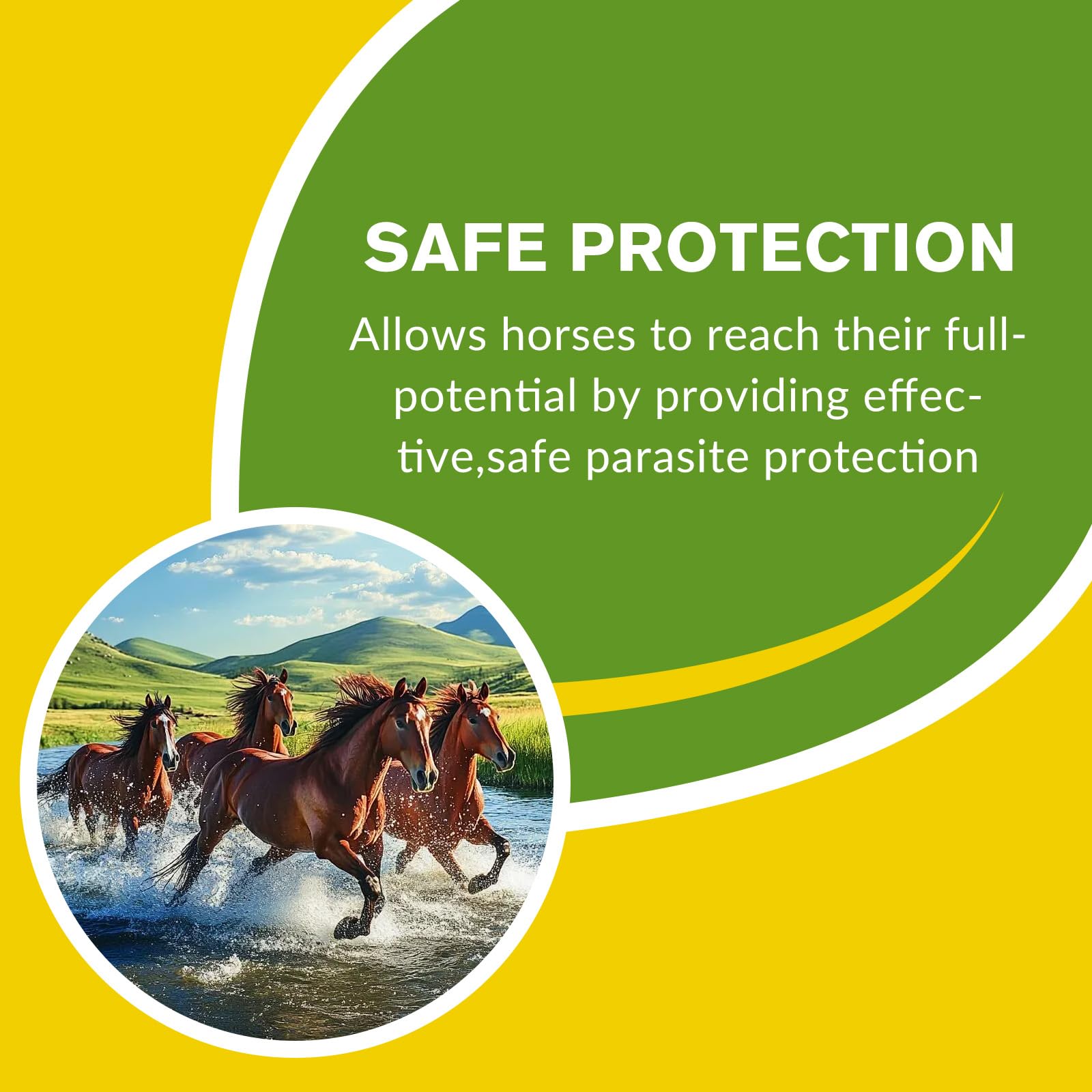 Lot de 6 gels pour chevaux 1,87 % saveur de pomme pour chevaux jusqu'à 567 kg