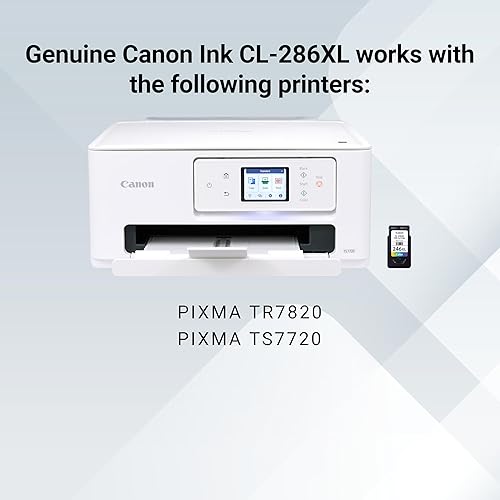 Miniatura 5 de Canon Tinta genuina PG-285 Negro, XL