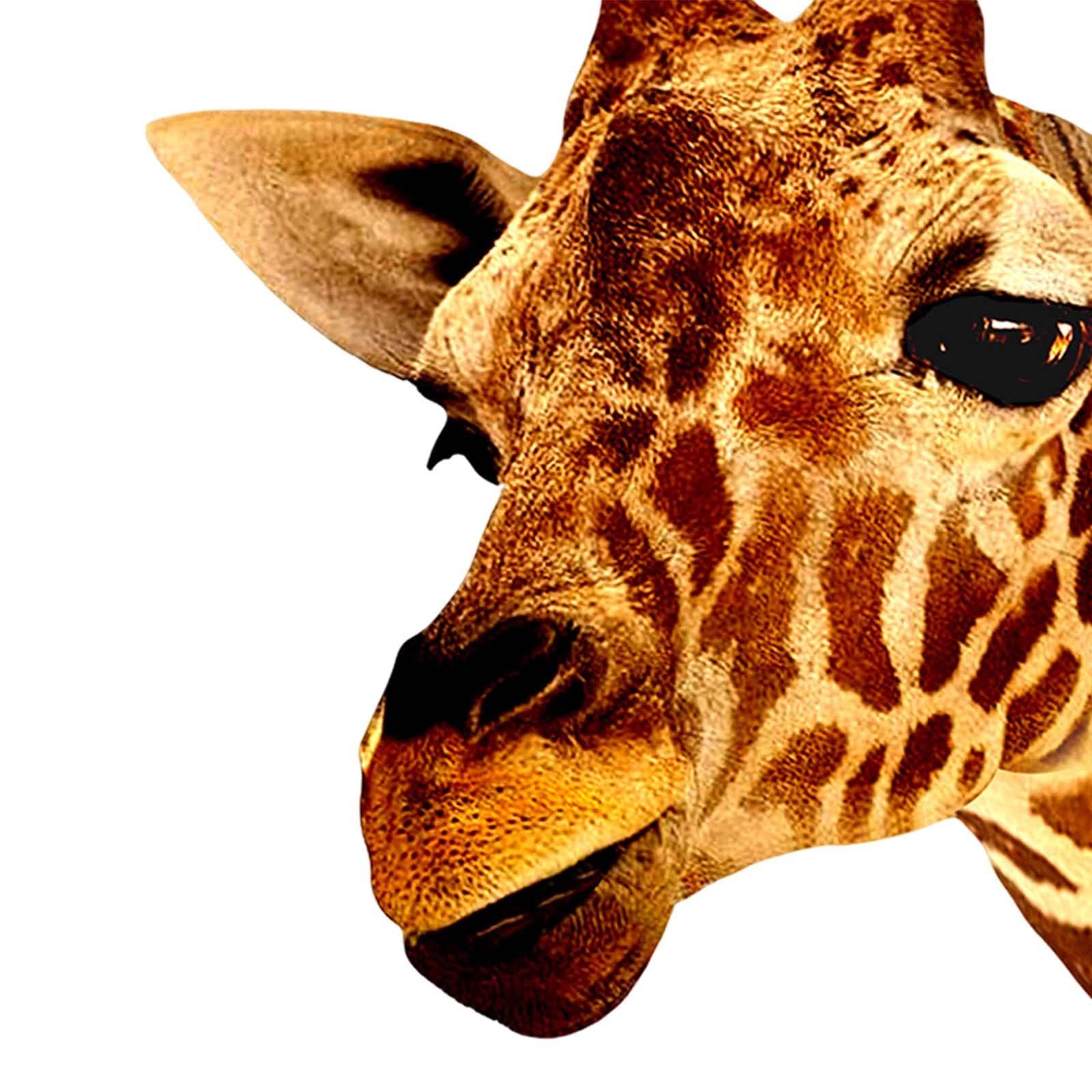 Animal Heads Art Sculpture Artwork for Dining Room Wall Hanging Centerpiece Giraffe|Home Decor Cat Miniature Wall Hangers for Clothes Unique Home Decor Unique Office Décor Wall Hanging Light-image-44