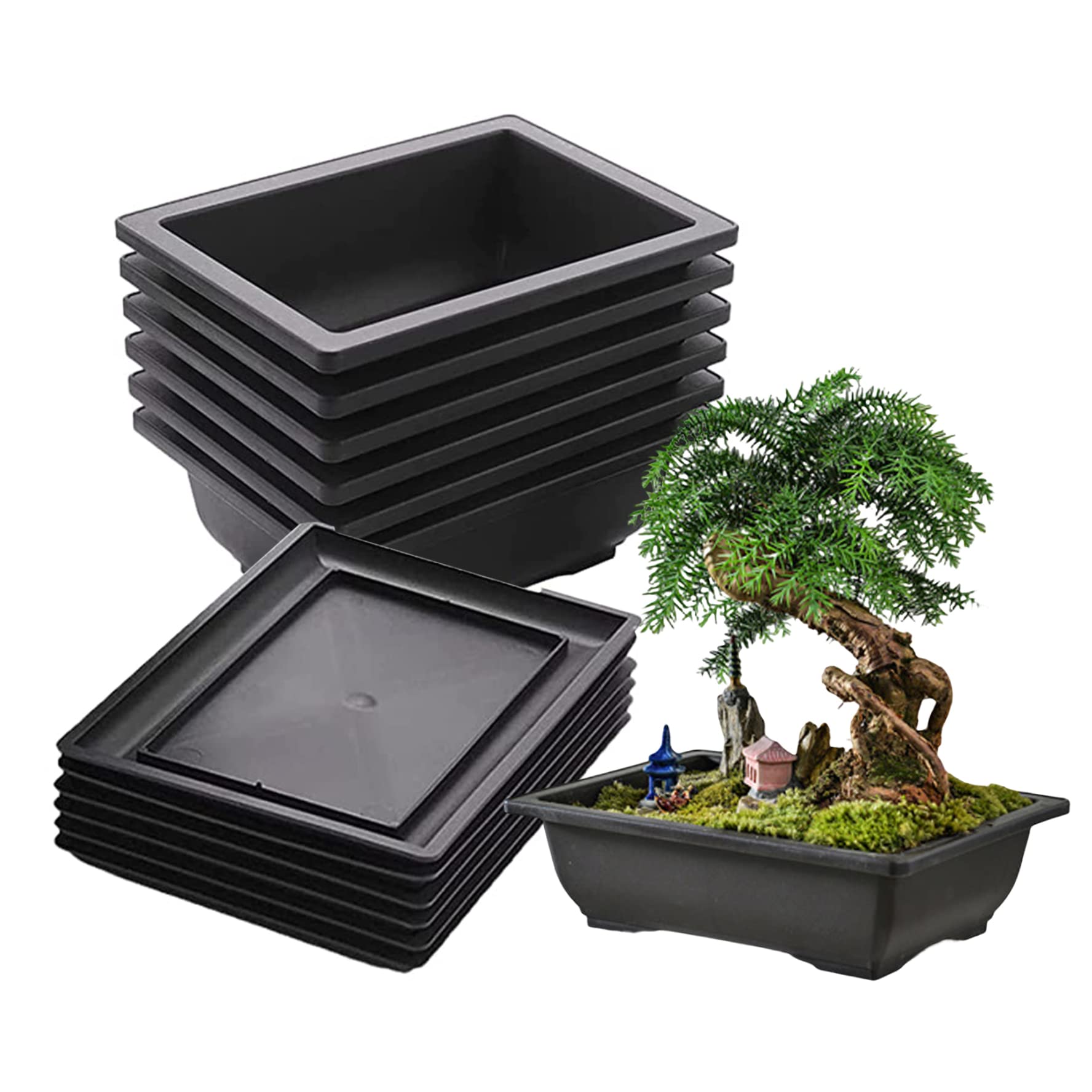 Macetas para interiores en salas de estar set rectangular para bonsái y flores de hogar