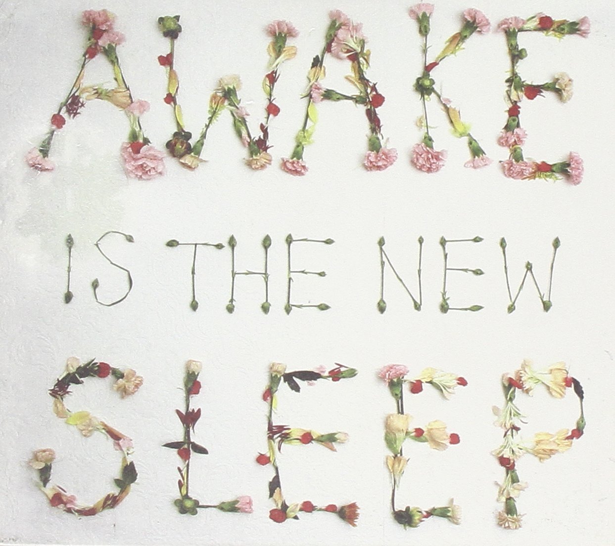 Awake Is the New Sleep [Audio CD] Lee, Ben