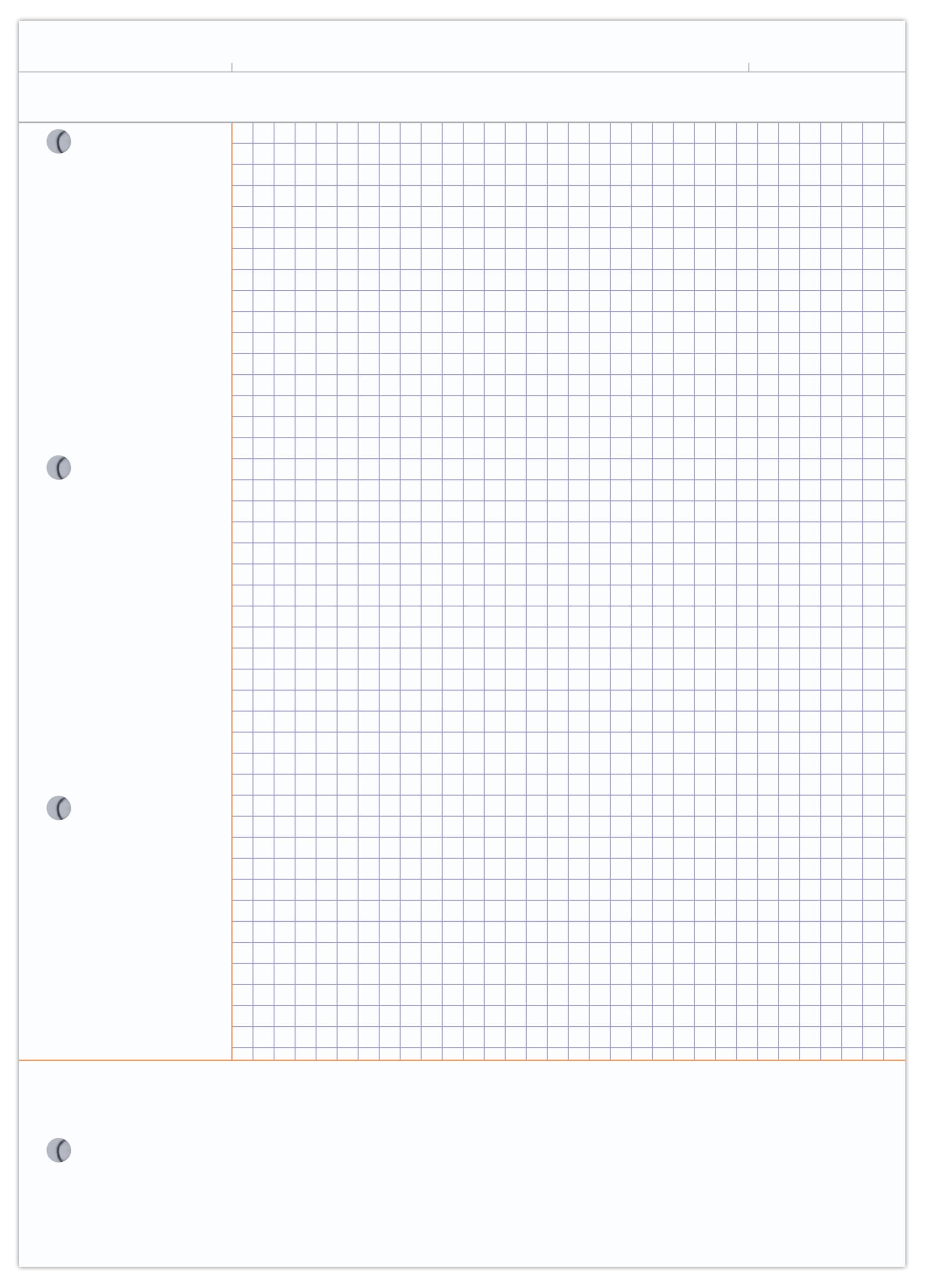 Clairefontaine 58196C - Bloc de cours "CORNELL notes" perf. 4 trous 21x29,7cm 200p réglure Cornell Q.5x5