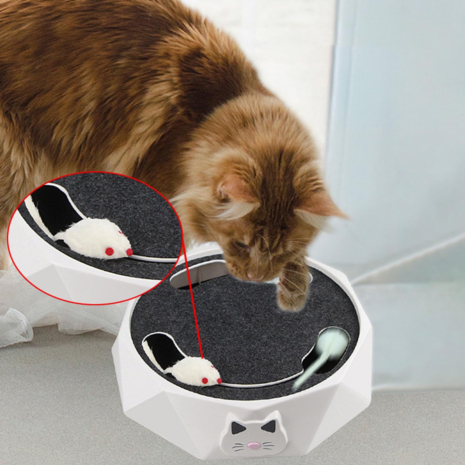 Giocattolo Interattivo per Gatti per Gatti da Interni, Giocattolo