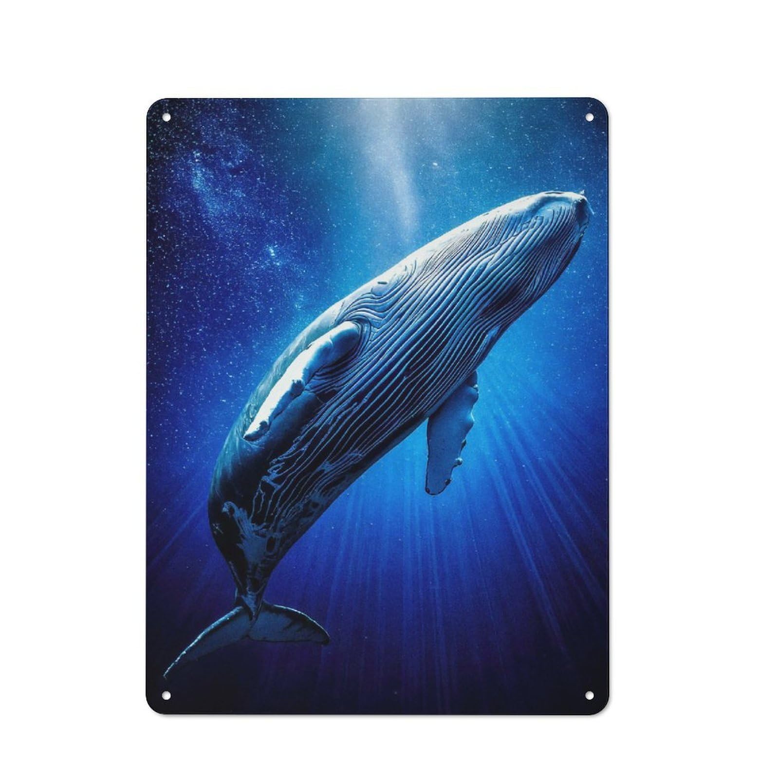 Decorative Metal Plaque with Galactic Humpback Whale Design 40x30cm, Vintage Porch Wall Decor for Shed, Garden Room, Porch Or Garage