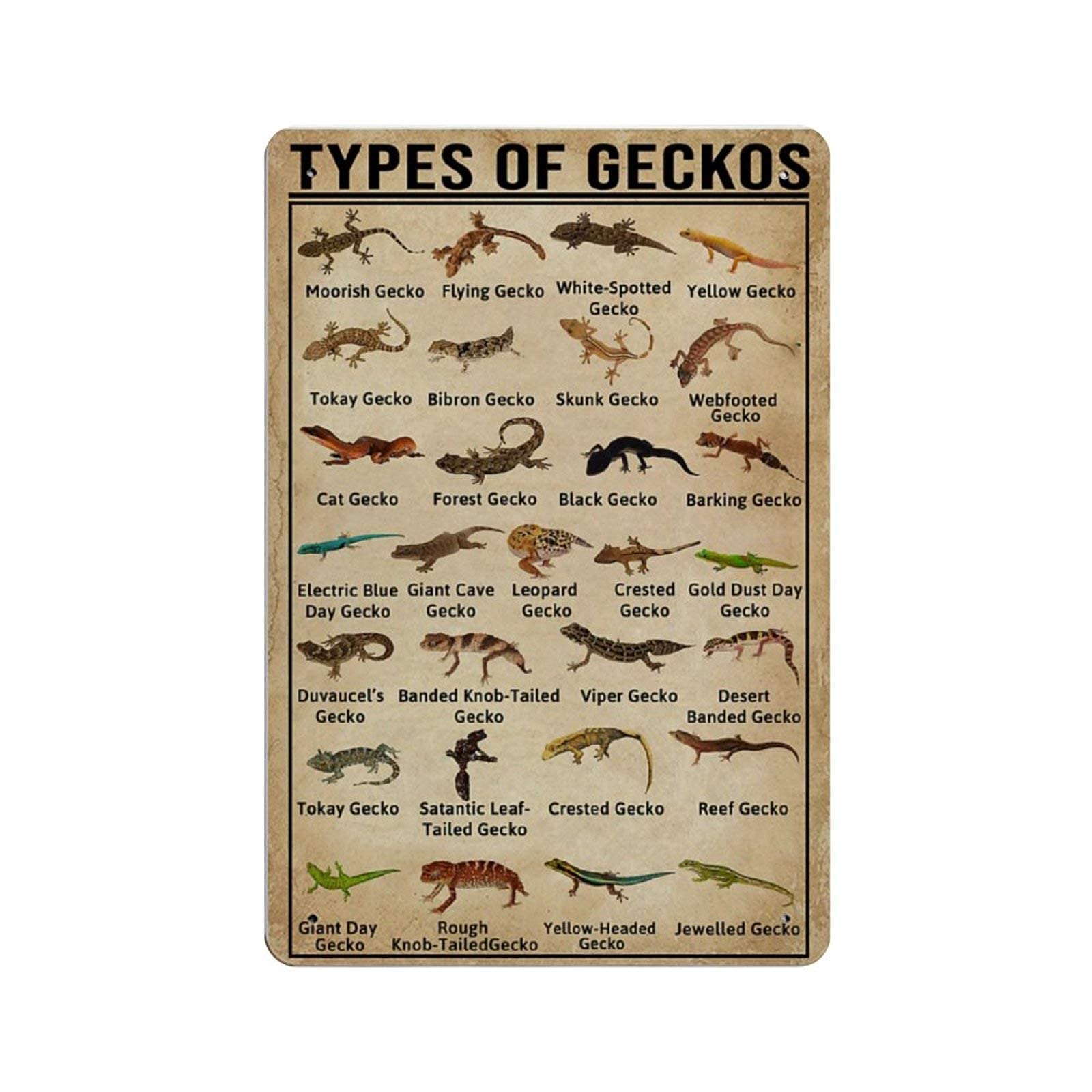 Lsjuee Tin Sign Decor Retro Vintage Metal Sign Types of Geckos Wildlife Reproduction Metal Tin Sign Wall Decor for Cafe Bar Pub Home 12" X 8" Inches