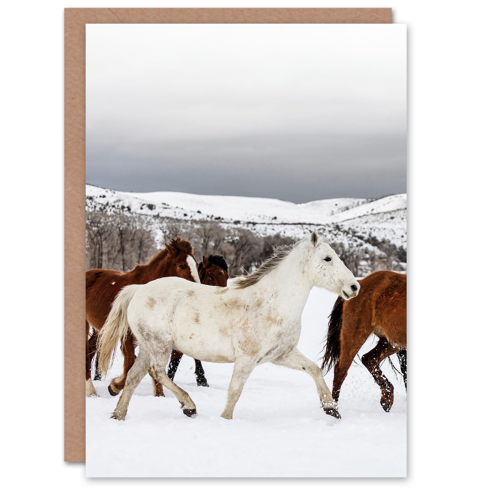 Artery8 Carol M Highsmith Art Card Wild and Domesticated Horse Herd