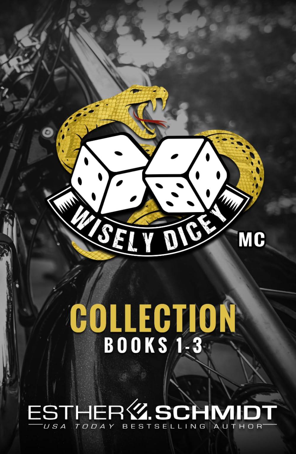 Wisely Dicey MC Collection Books 1-3