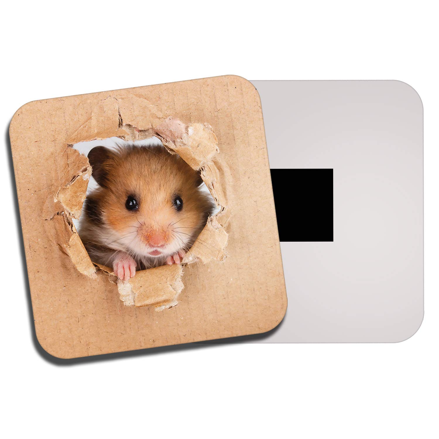 Destinationvinyl Multicolor 1 X Cheeky Hamster Fridge Magnet - Mice Mouse Gerbil Rat Cute Kids Funny #8521