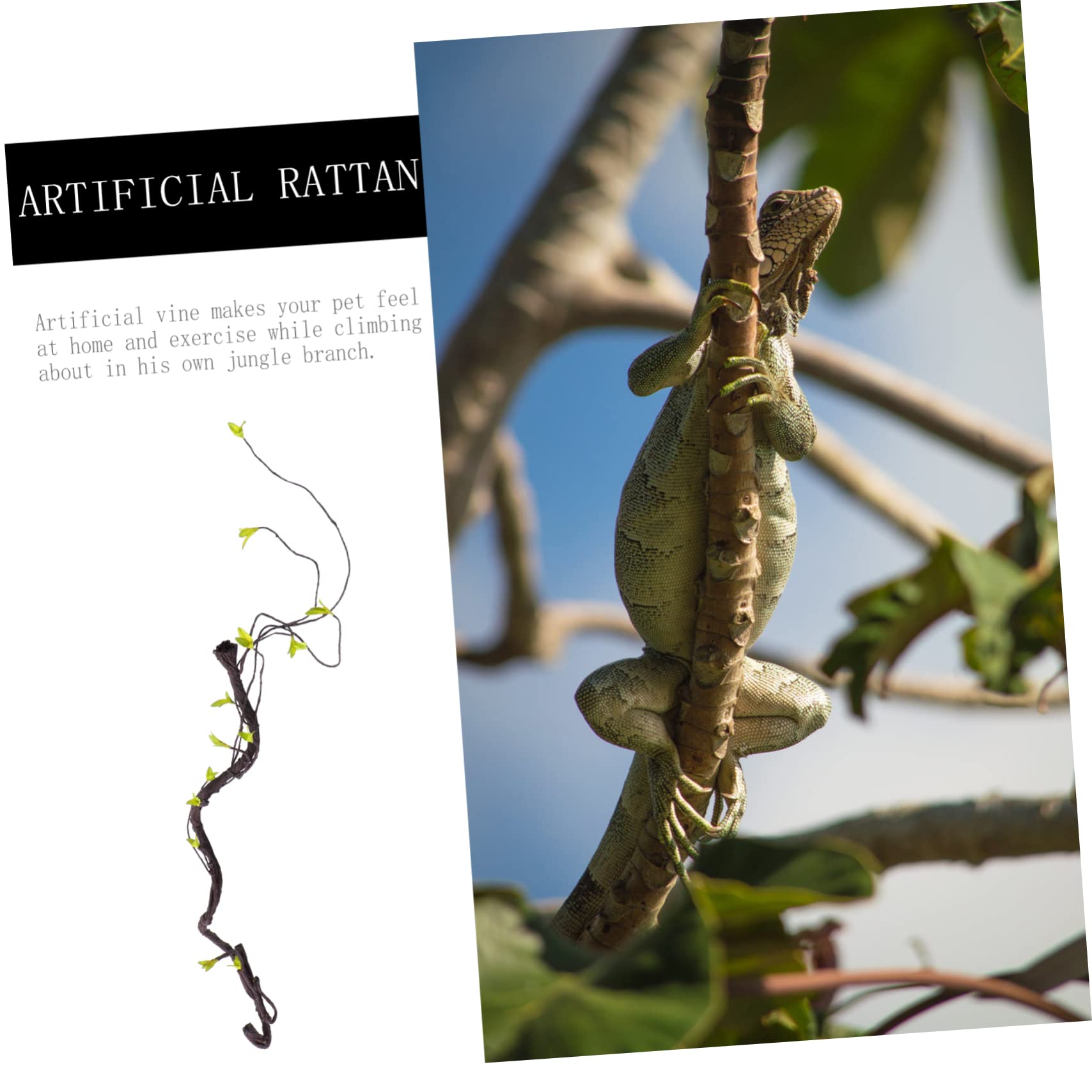 Housoutil 2stücke Künstliche Rattan-kletterpflanze Für Terrarien Flexibel Und Wiederverwendbar Für Reptilien Lange Simulation Von Tropischen Pflanzen Stressreduzierende Dekoration Für