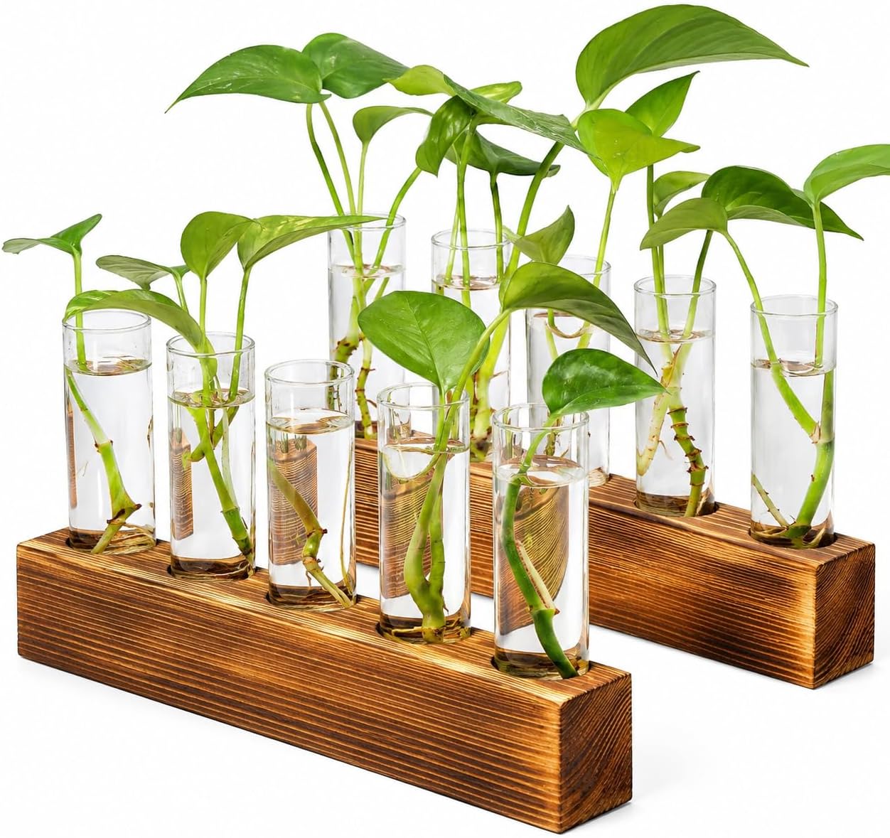 Renmxj Plant Propagation Station, 10 Glass Test Tube with Wooden Stand