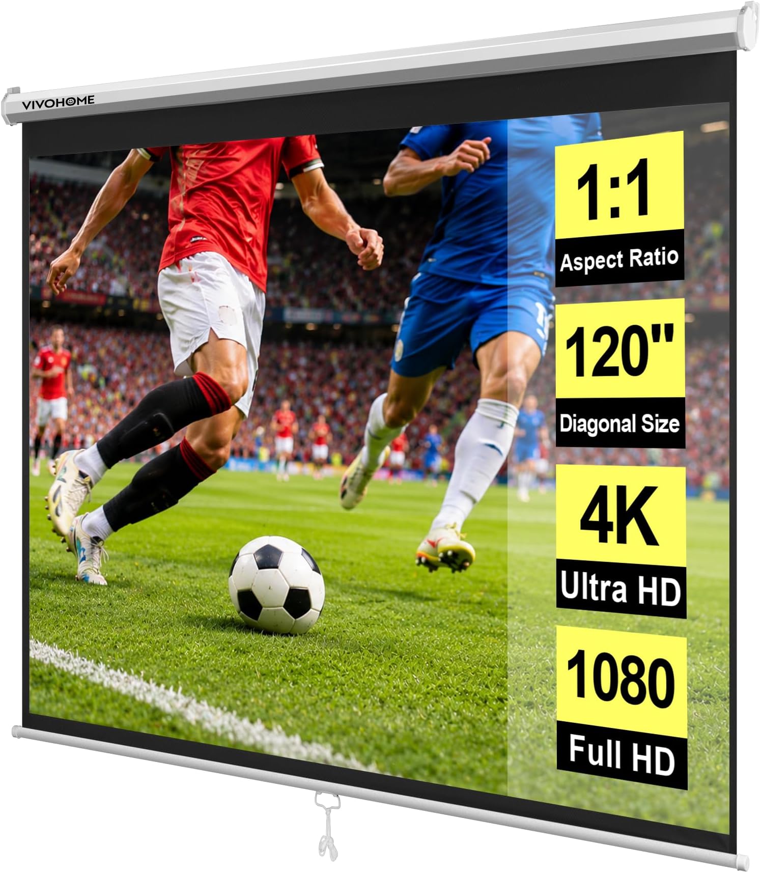 VIVOHOME 120 Inch Manual Wall Mount Matte White Projection Screen