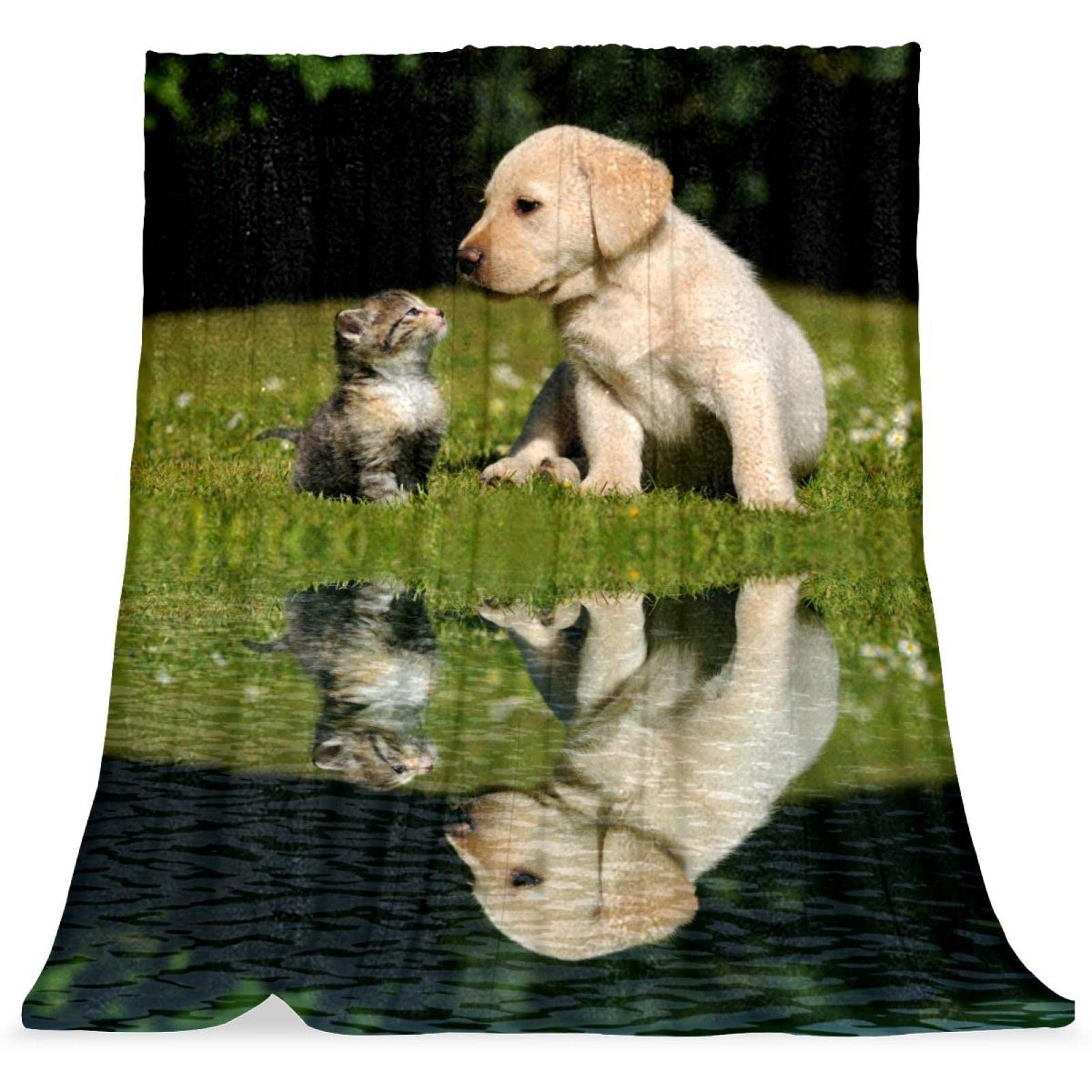 Couverture de lit moelleuse chat et chien pour réchauffer les nuits des enfants