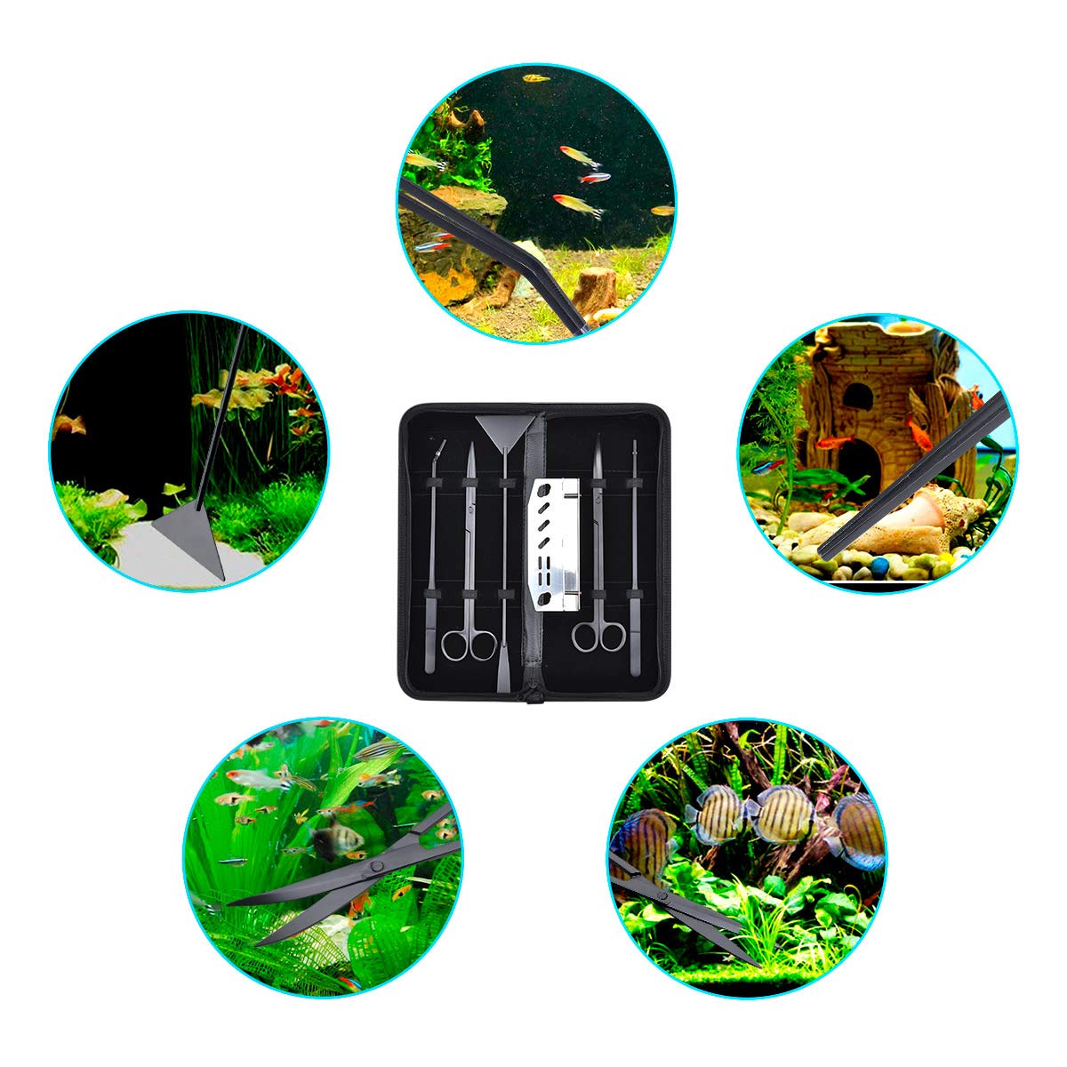 Kit 5 in 1 per acquario con forbici dritte e curve, spatola substrato, pinzette dritte e curve, set di attrezzi per piante acquatiche in acciaio inox, con supporto e custodia