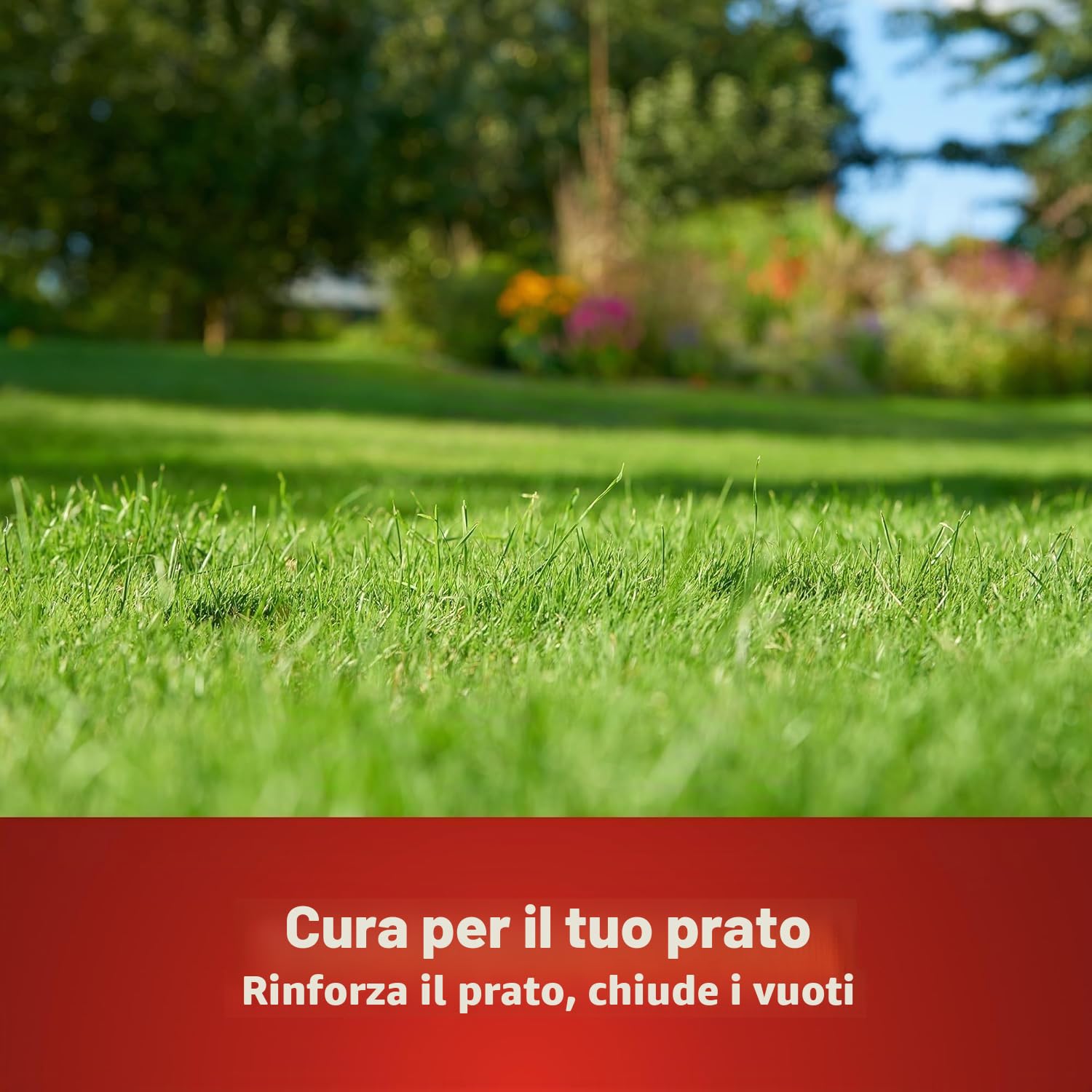 WOLF Garten SQ 500 Erbe Infestanti, con Fertilizzante per Prato, 10 kg per 500 m²