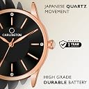 Carlington Stainless Steel Analog Dial Women Watches Mesh Strap- CT2004 gallery image