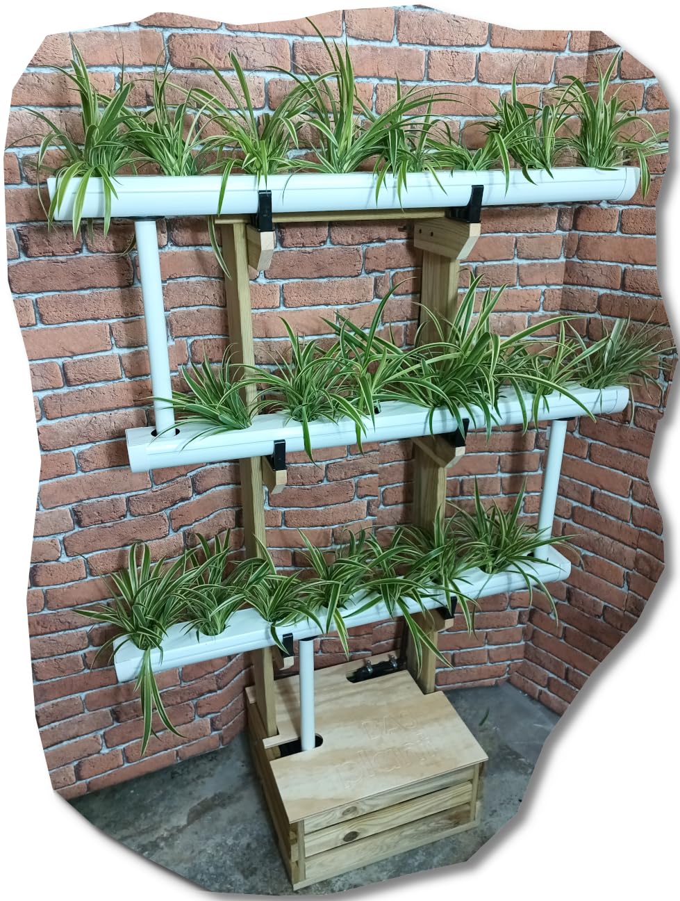 Kit Cultivo hidropónico Vertical de Pared 220V