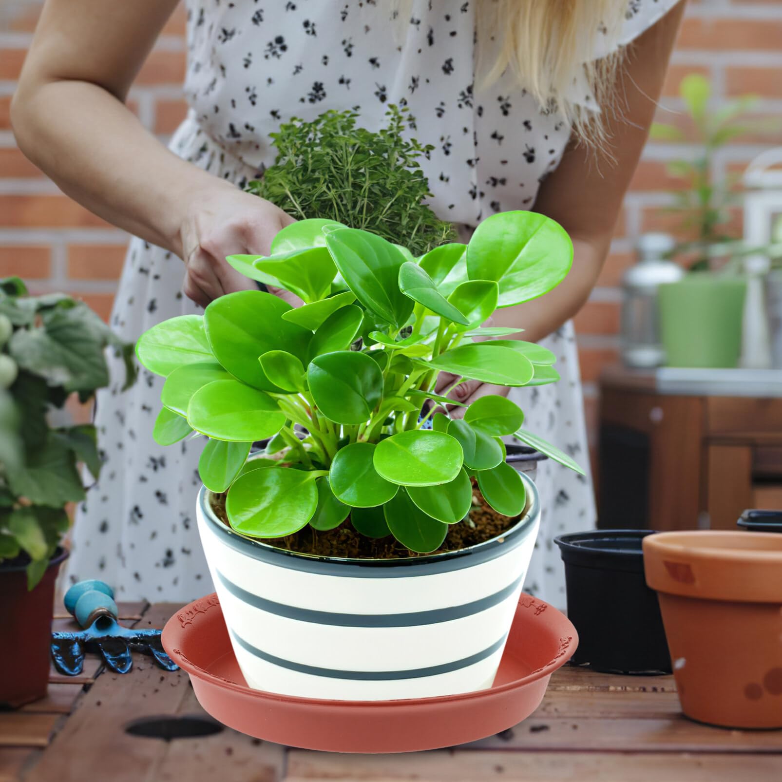 Graticolati Louisayork supporto per piante da giardino traliccio Leaf